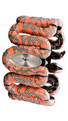 ���� Roberto Cavalli 7253195525